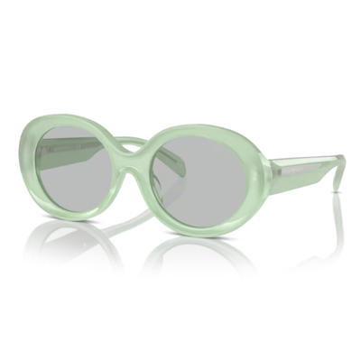 Emporio Armani EA4231U Sunglasses